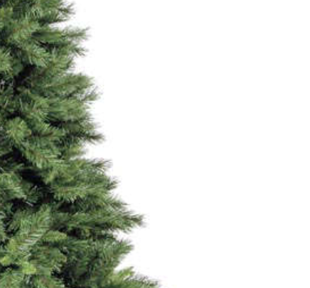 12ft Green Kateson Artificial Fir Hinged Christmas Tree with 3756 Tips