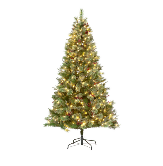 Pre Lit 7ft Biarritz Spruce Christmas Tree with 600 Warm White LEDs & 1330 Tips