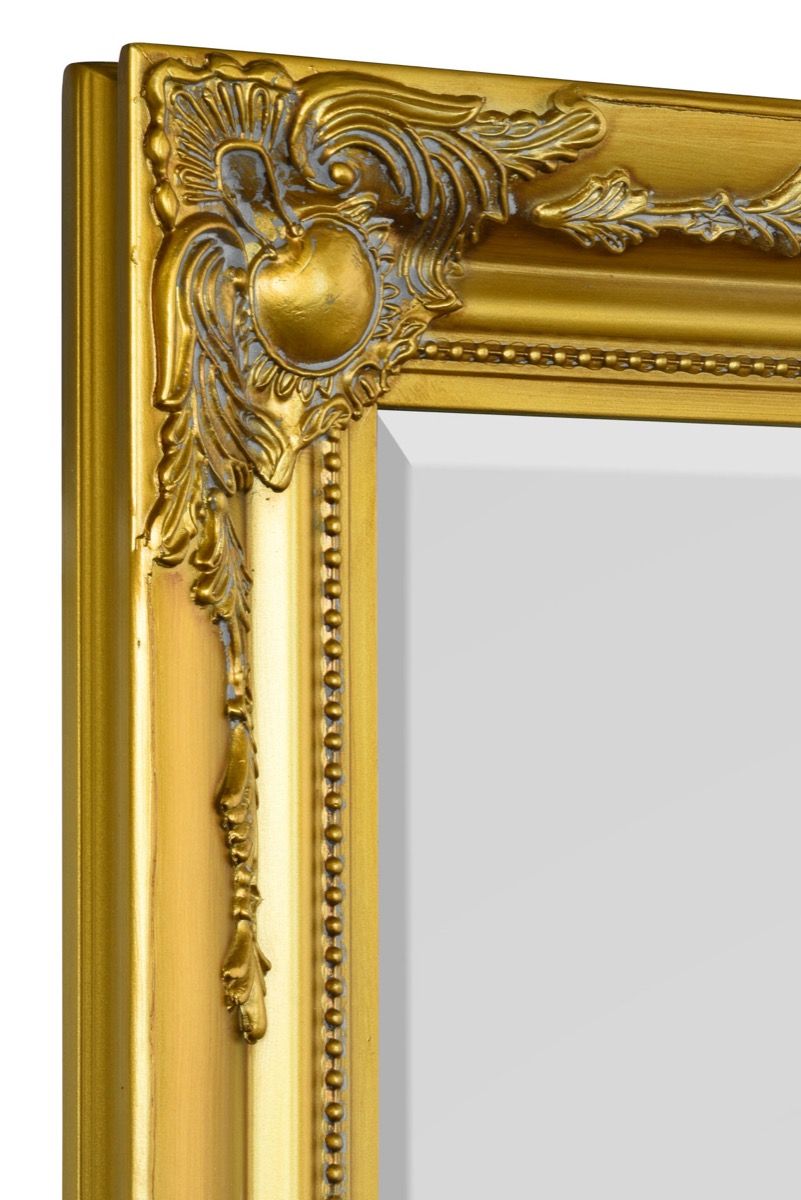 Gold Ornate Full Length Mirror