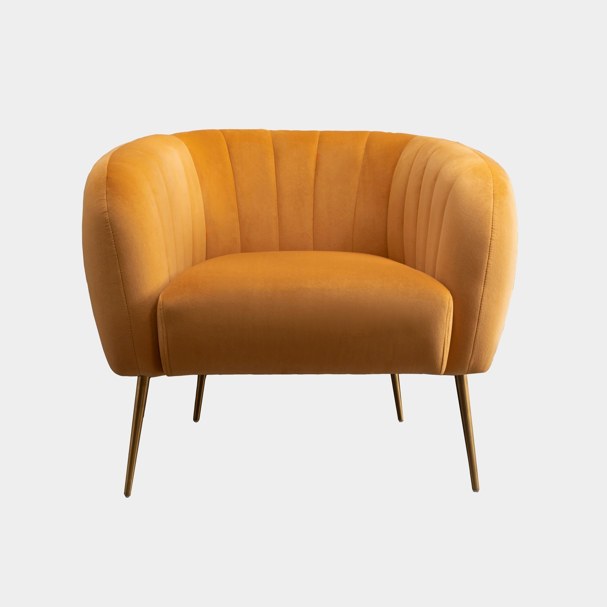 Mustard Yellow Velvet Armchair with Gold Legs