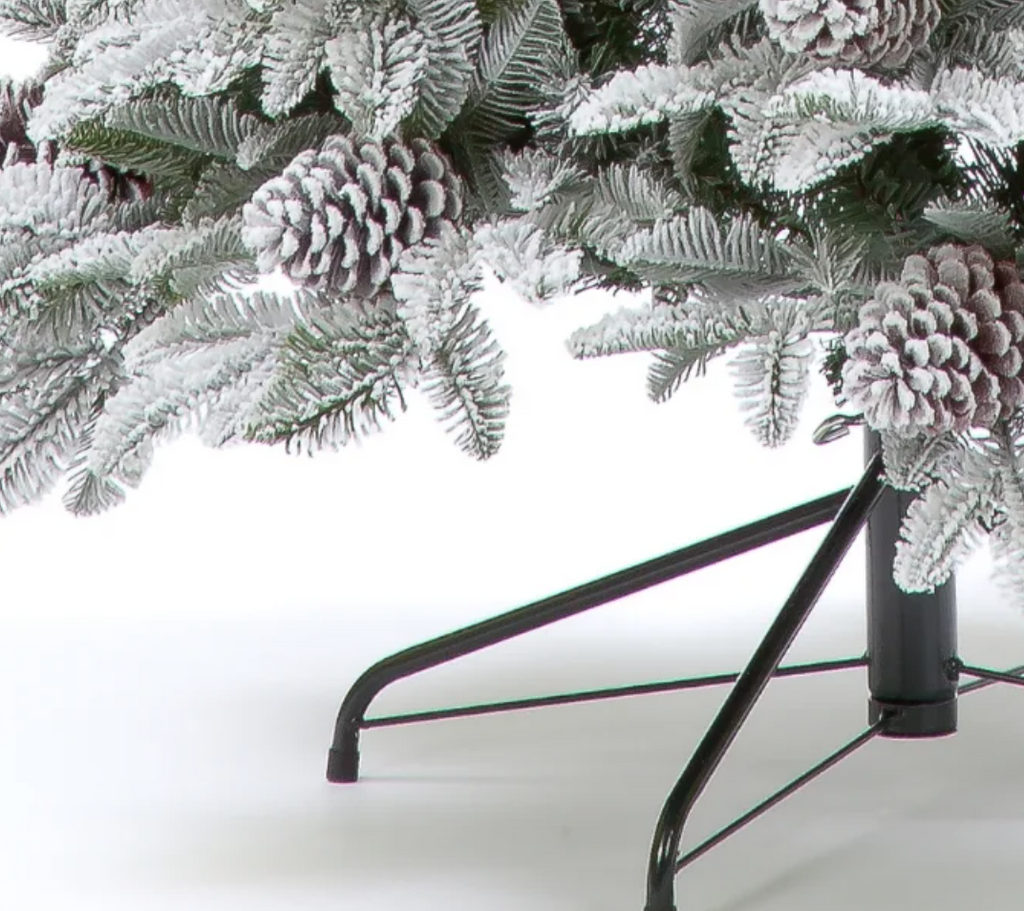 6FT / 180cm Himalayan Pine Tree with 57 Big Cones