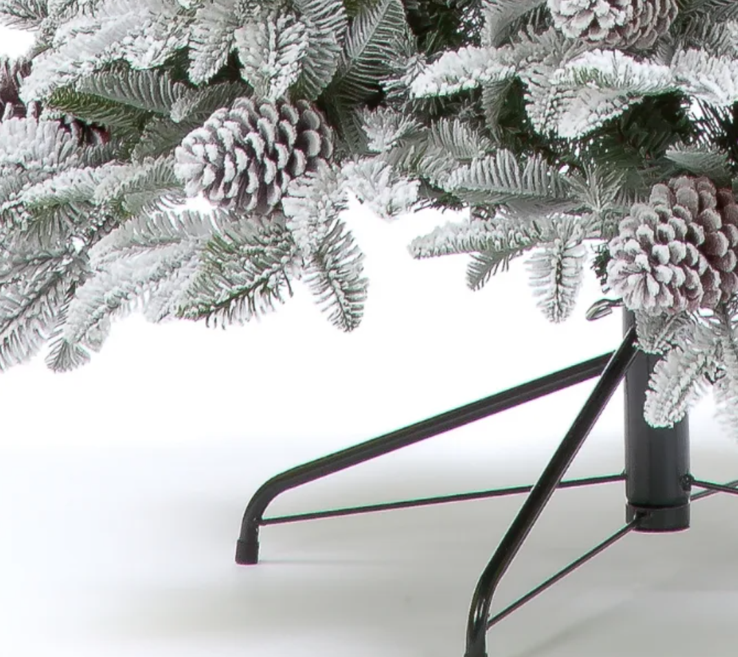 6FT / 180cm Himalayan Pine Tree with 57 Big Cones