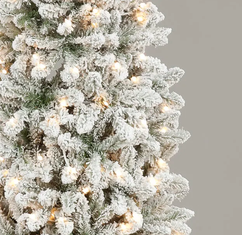 Pre Lit 7ft Snowshoe Spruce Slim Christmas Tree with 300 Warm White LEDs