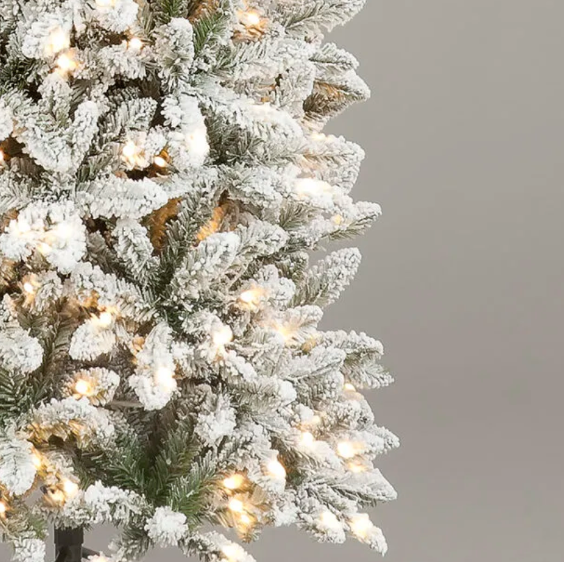 Pre Lit 7ft Snowshoe Spruce Slim Christmas Tree with 300 Warm White LEDs