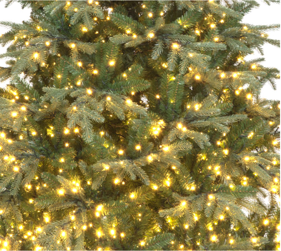 Pre Lit 7ft Viscount Spruce Christmas Tree With 2639 Tips & 1300 Warm White LEDs