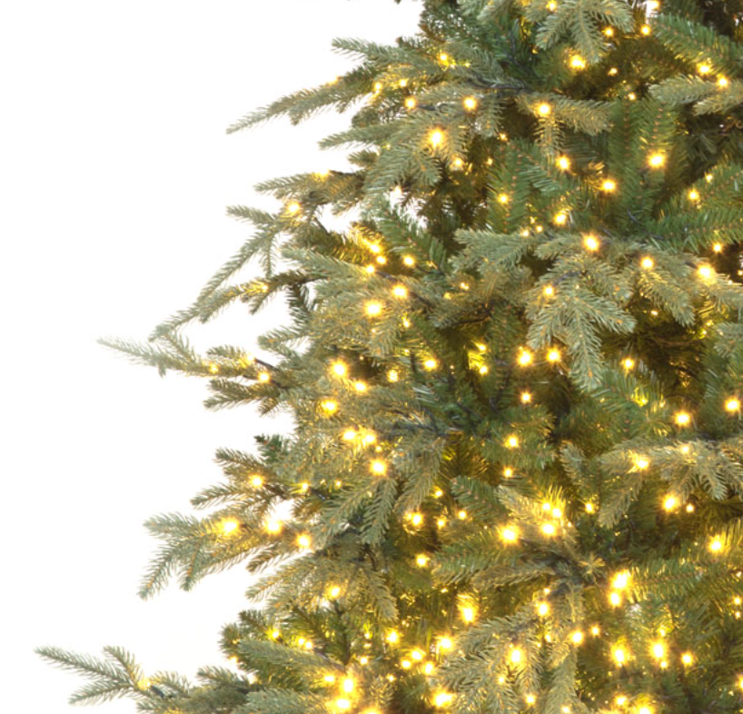 Pre Lit 7ft Viscount Spruce Christmas Tree With 2639 Tips & 1300 Warm White LEDs