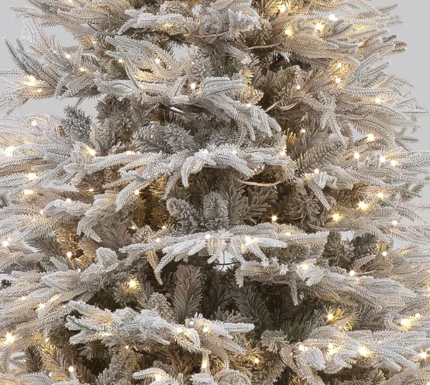 Pre Lit 6ft Flocked Platinum Fir with 2450 Tips & 350 Warm White LEDs
