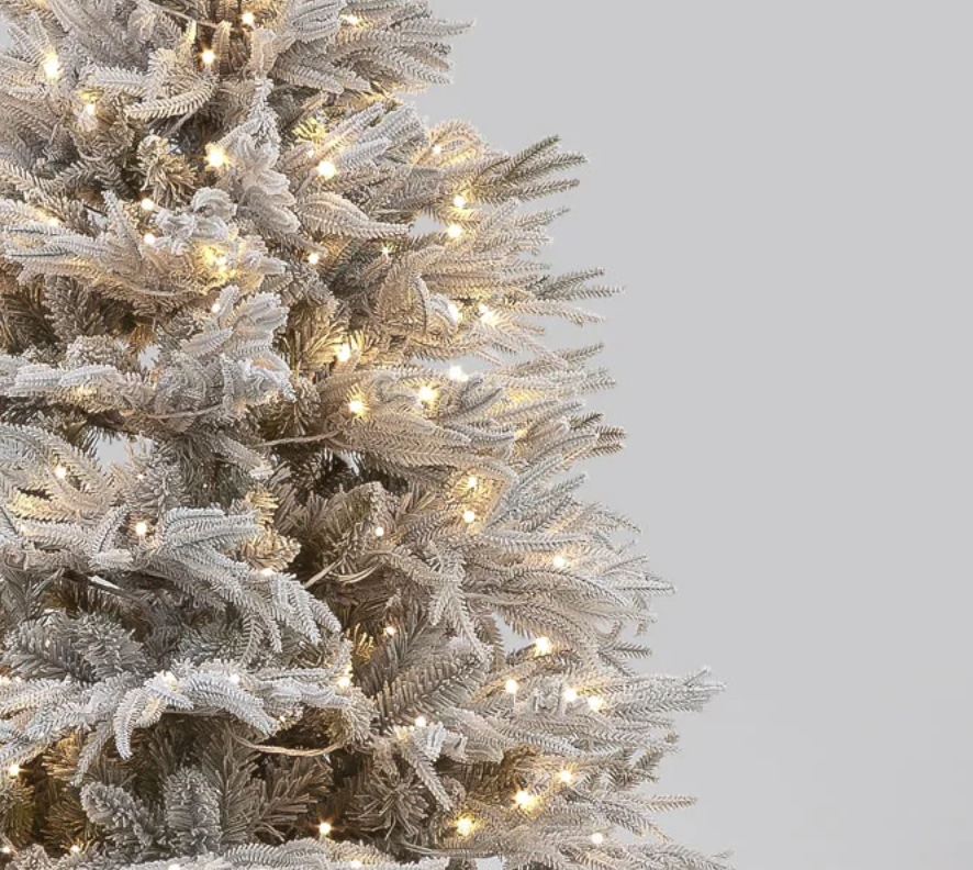 Pre Lit 6ft Flocked Platinum Fir with 2450 Tips & 350 Warm White LEDs