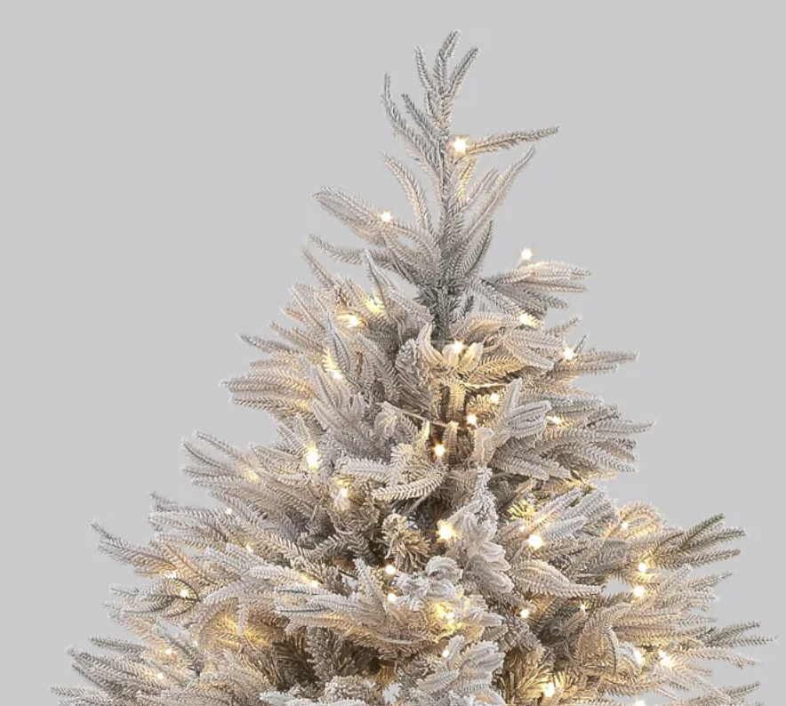 Pre Lit 6ft Flocked Platinum Fir with 2450 Tips & 350 Warm White LEDs