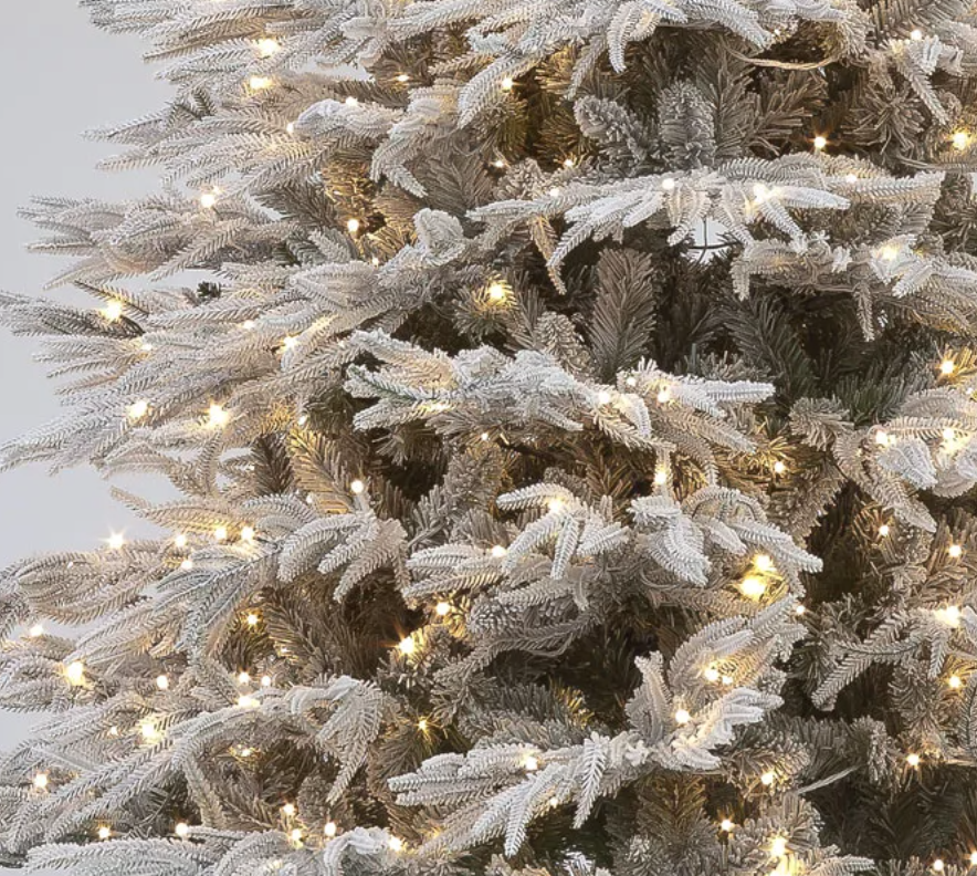 Pre Lit 6ft Flocked Platinum Fir with 2450 Tips & 350 Warm White LEDs