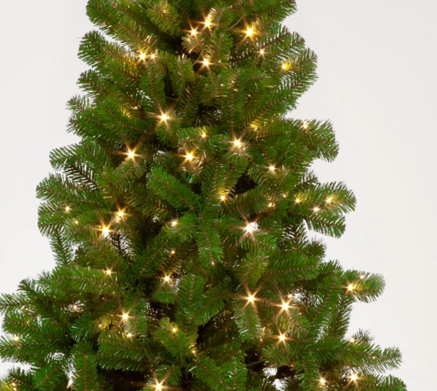 Pre Lit 6ft Randolph Pine With 150 Warm White LEDs