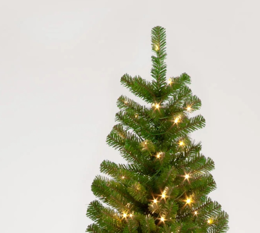 Pre Lit 6ft Randolph Pine With 150 Warm White LEDs