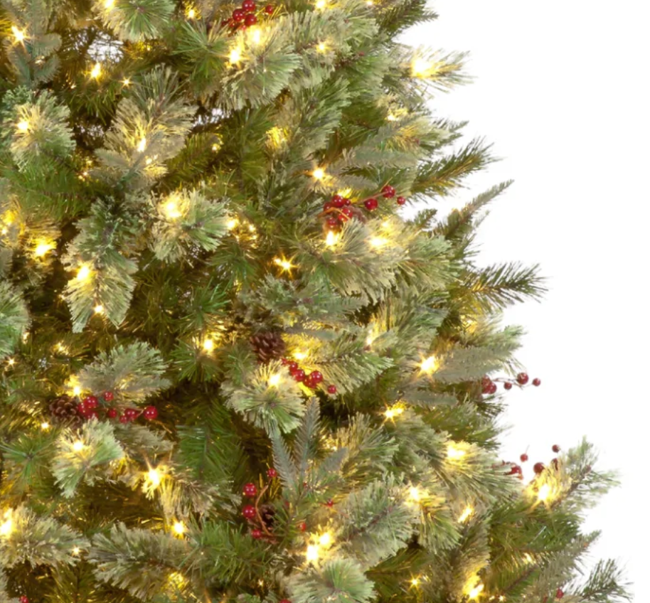 Pre Lit 7ft Biarritz Spruce Christmas Tree with 600 Warm White LEDs & 1330 Tips