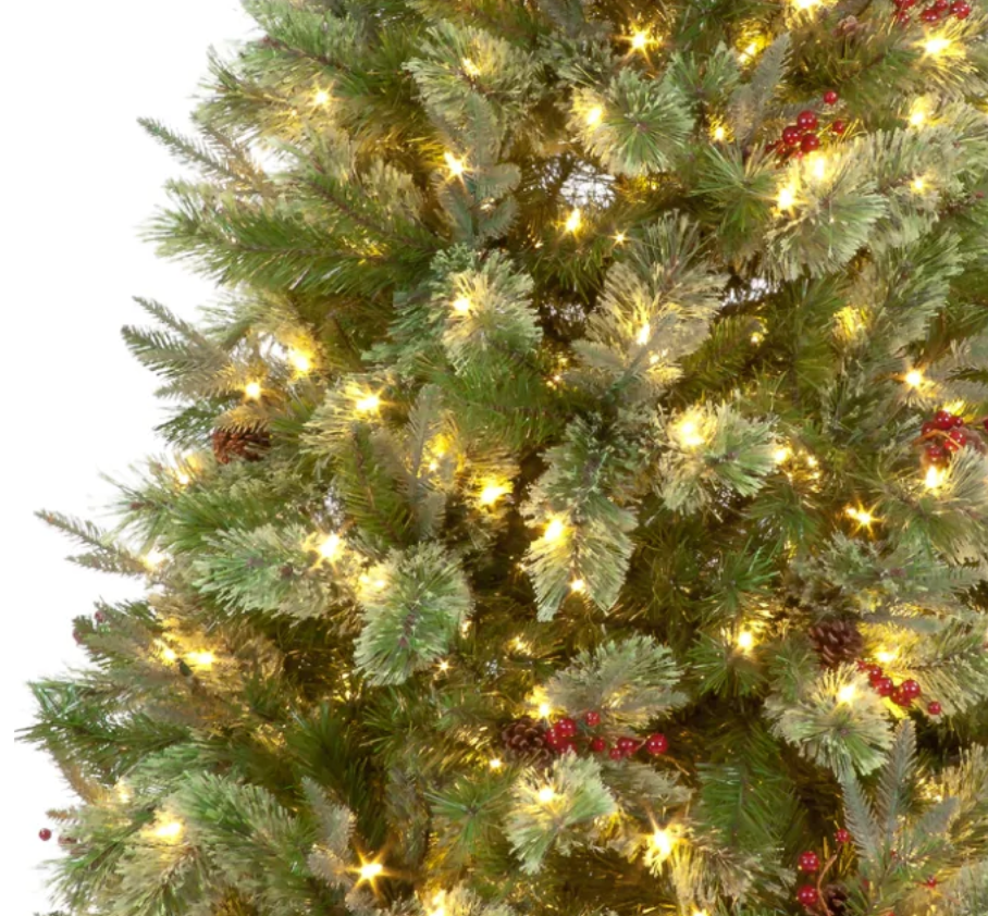 Pre Lit 7ft Biarritz Spruce Christmas Tree with 600 Warm White LEDs & 1330 Tips