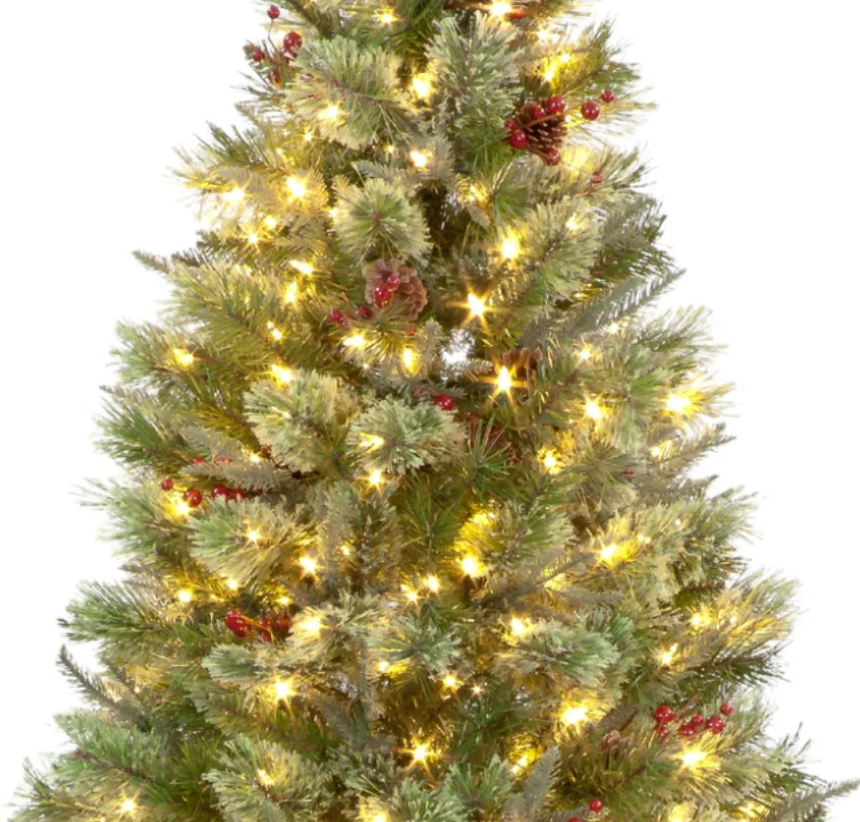 Pre Lit 7ft Biarritz Spruce Christmas Tree with 600 Warm White LEDs & 1330 Tips