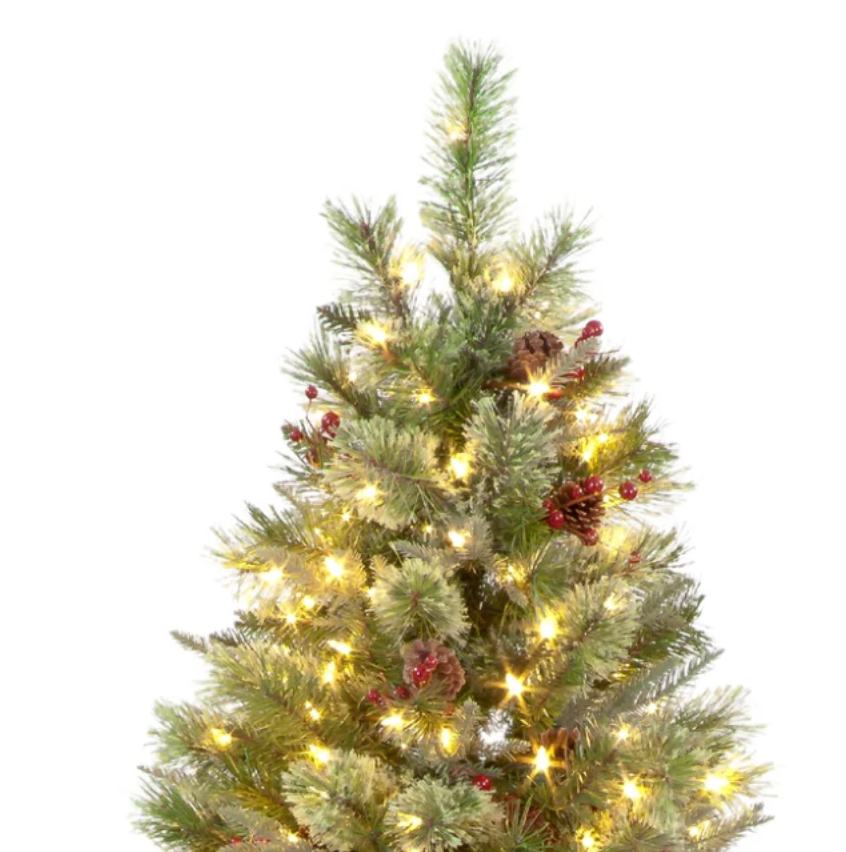 Pre Lit 7ft Biarritz Spruce Christmas Tree with 600 Warm White LEDs & 1330 Tips