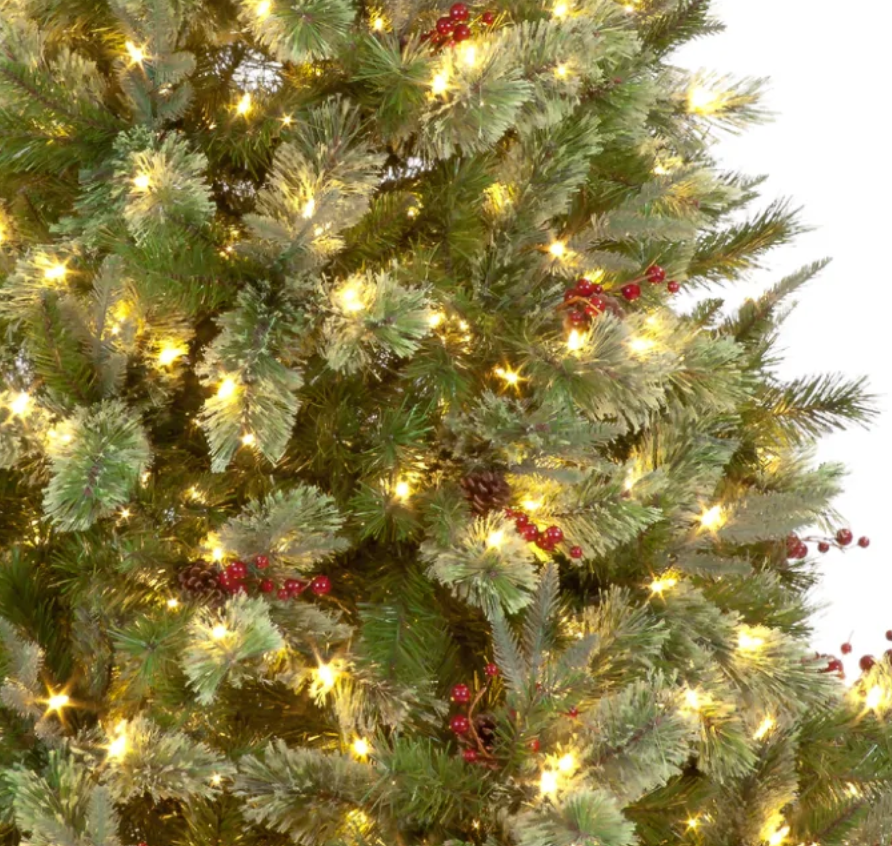Pre Lit 7ft Biarritz Spruce Christmas Tree with 600 Warm White LEDs & 1330 Tips