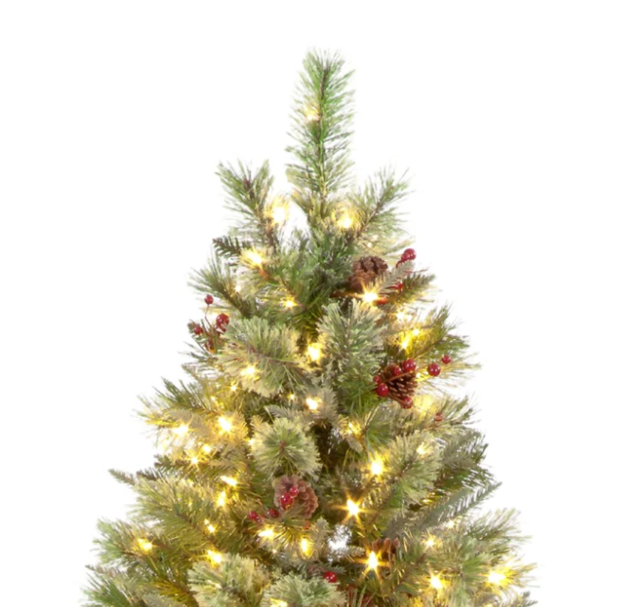 Pre Lit 7ft Biarritz Spruce Christmas Tree with 600 Warm White LEDs & 1330 Tips
