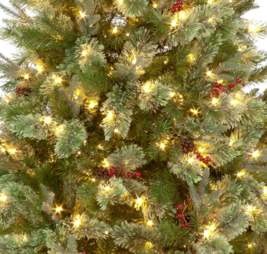 Pre Lit 7ft Biarritz Spruce Christmas Tree with 600 Warm White LEDs & 1330 Tips