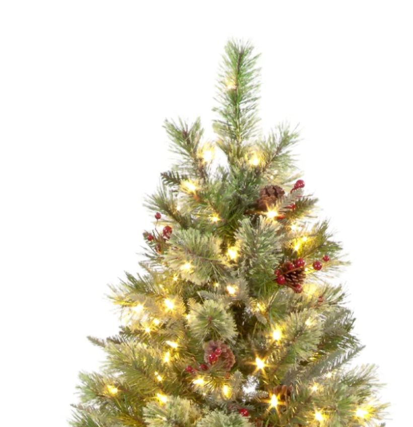 Pre Lit 7ft Biarritz Spruce Christmas Tree with 600 Warm White LEDs & 1330 Tips