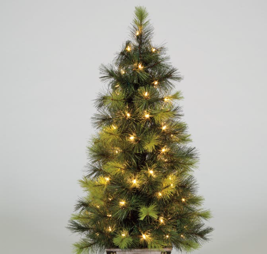 Pre Lit 3ft / 120cm Scots Pine Porch Tree with 70 Warm White LEDs