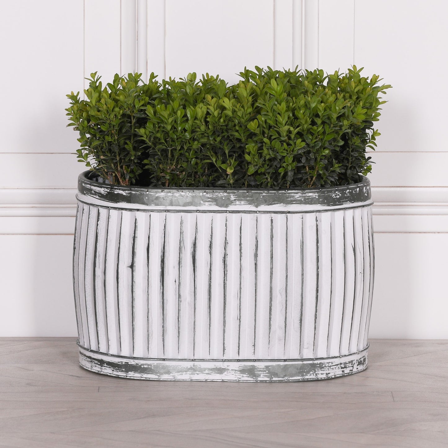 Dolly Tub Oval Metal Planter – Small